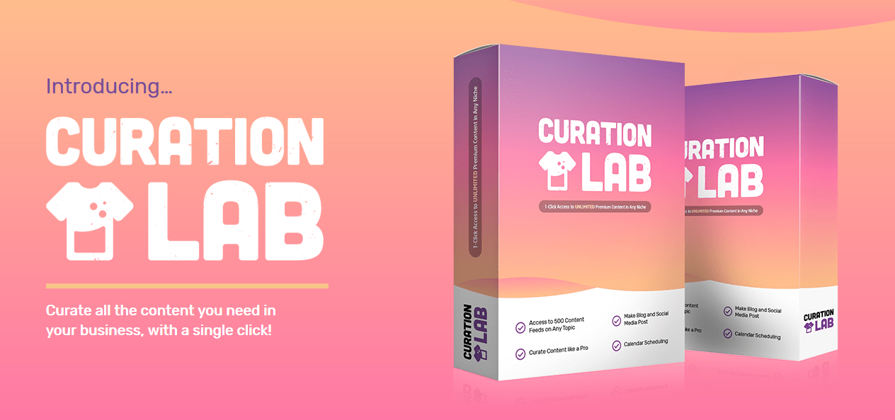 Curation-Lab-Review